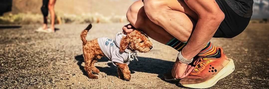 Tim Tollefson banner