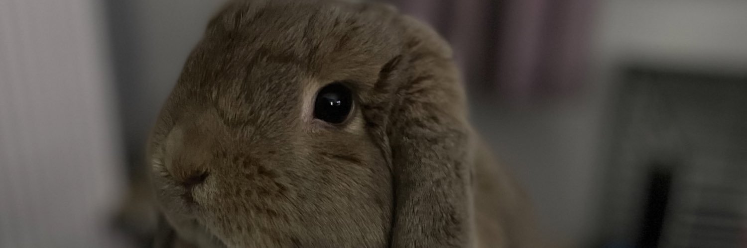 MrsJD83's profile banner image
