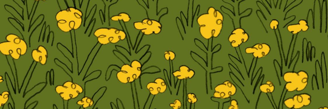 holawedz's profile banner image