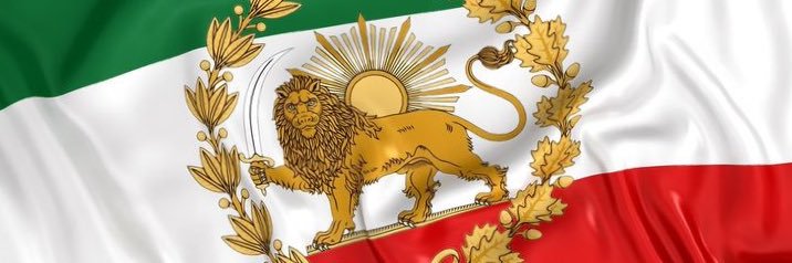 راب ریزبین banner