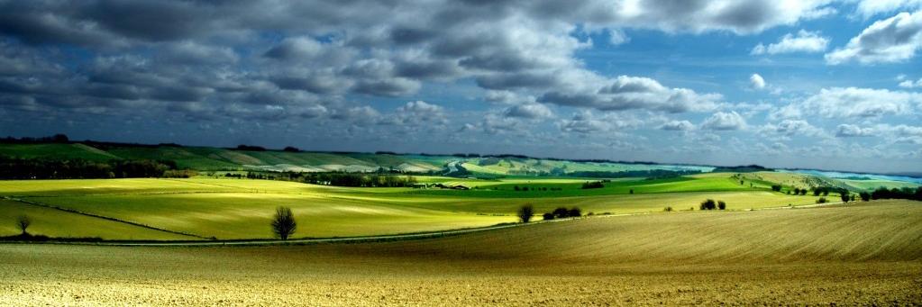 Les Hopper 🤠👨‍🔬🇪🇺💙 banner