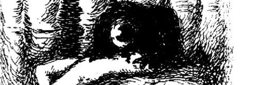yeeeeqi1's profile banner image
