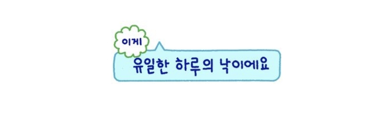 둥이 banner