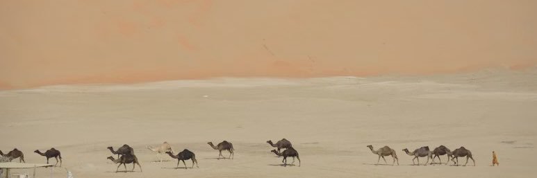alnajaib's profile banner image