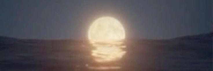 Sxftmoon banner