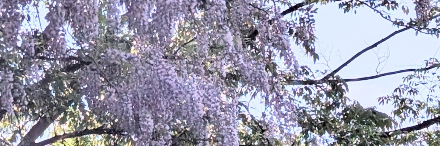 shun_1971's profile banner image