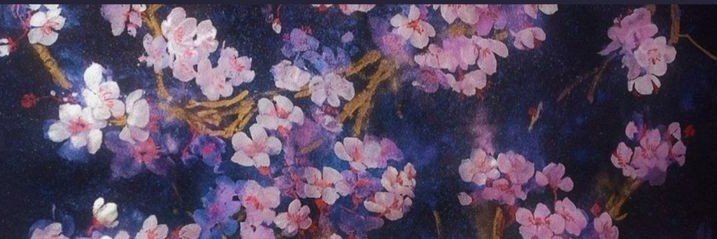 curucyry's profile banner image