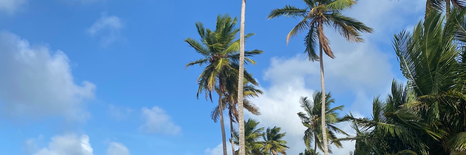 AroaCano's profile banner image