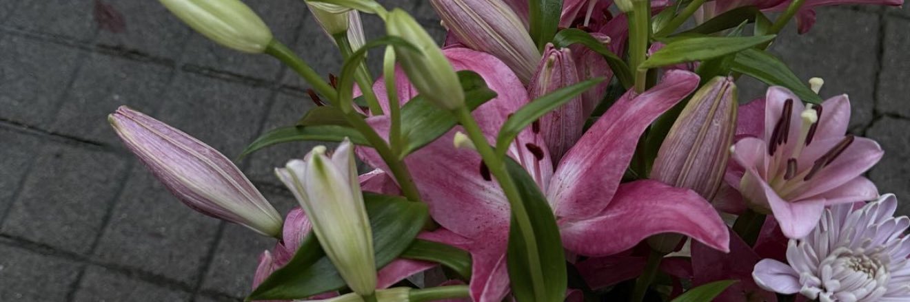 amoureuse des lys banner