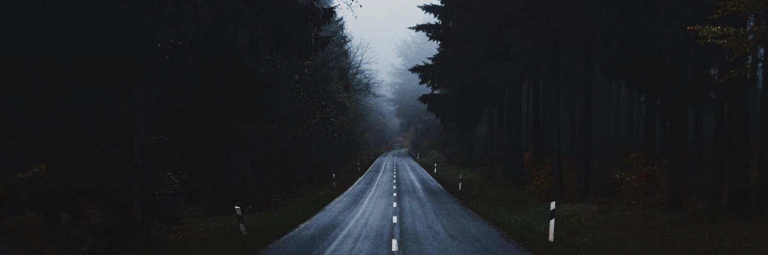 Flipped Camel banner