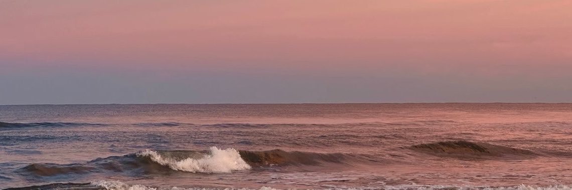 EricaDHernandez's profile banner image