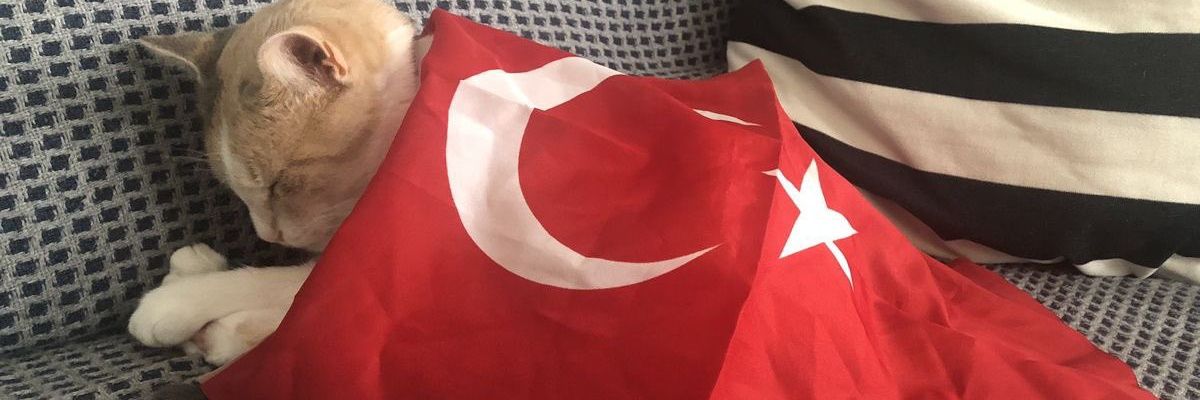 RujluTribun's profile banner image