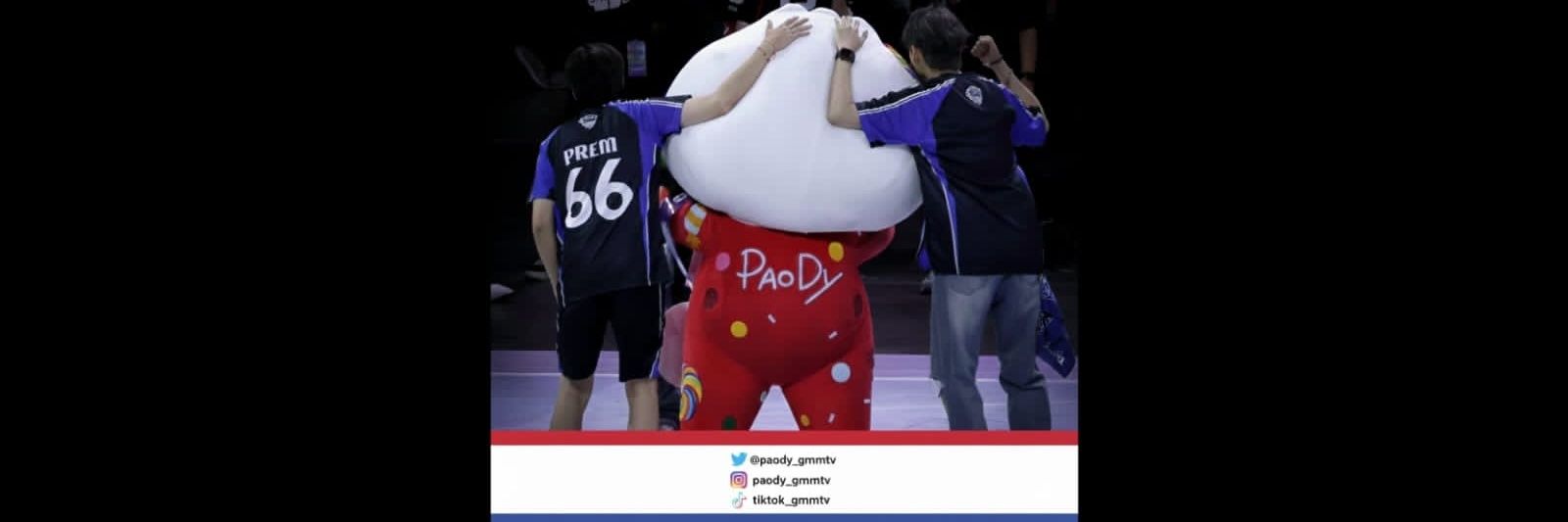 Paody Paraguay banner