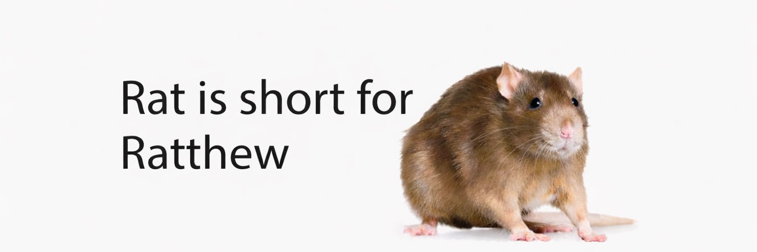 ratthew scallion banner