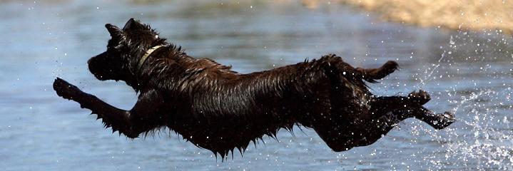 MaryCallahan (she/her) banner