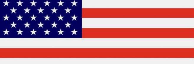 The Right Wing Patriot banner