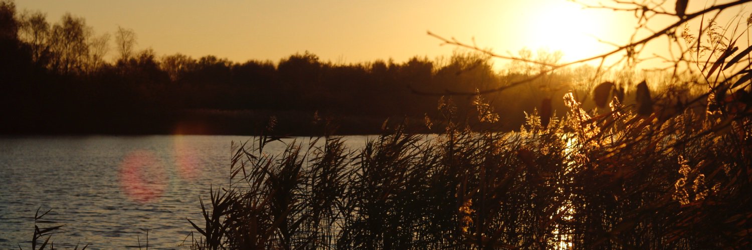Tombovver's profile banner image