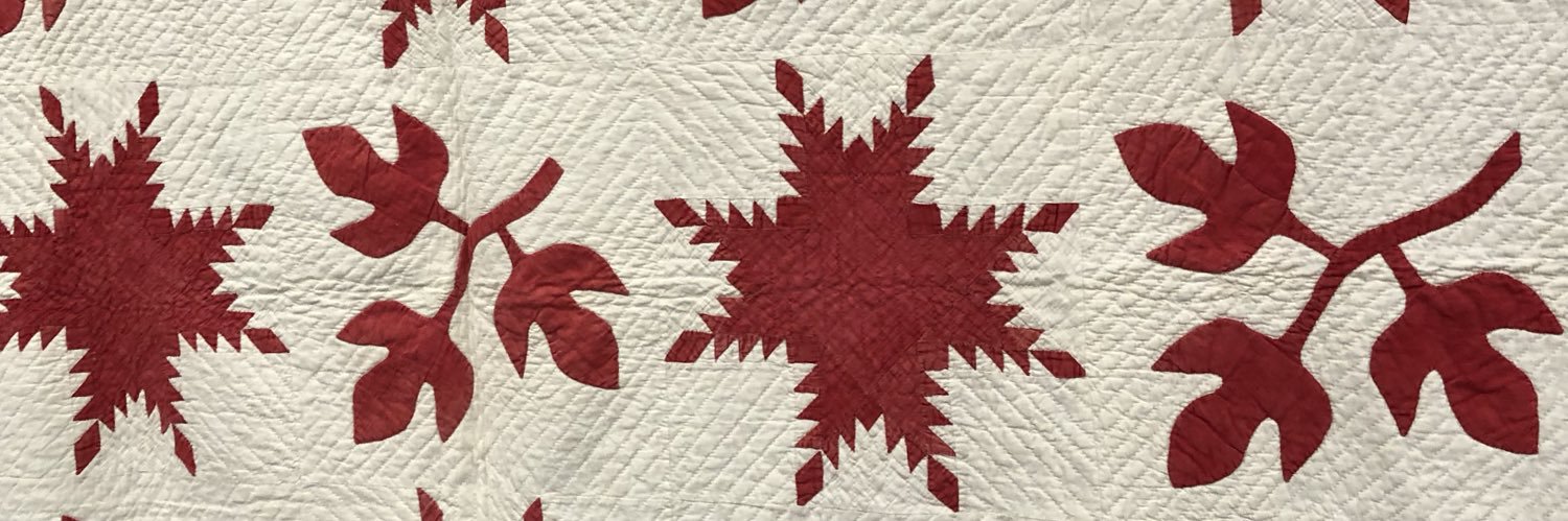 Carla Anne Higley Holeva banner