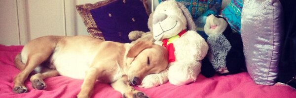 CharlieDubec Profile Banner