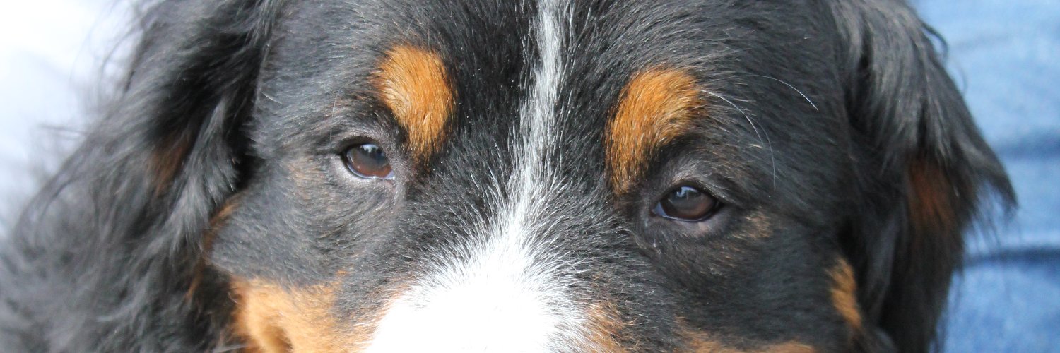 regeltechniek's profile banner image