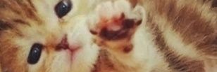 andr_lxv's profile banner image
