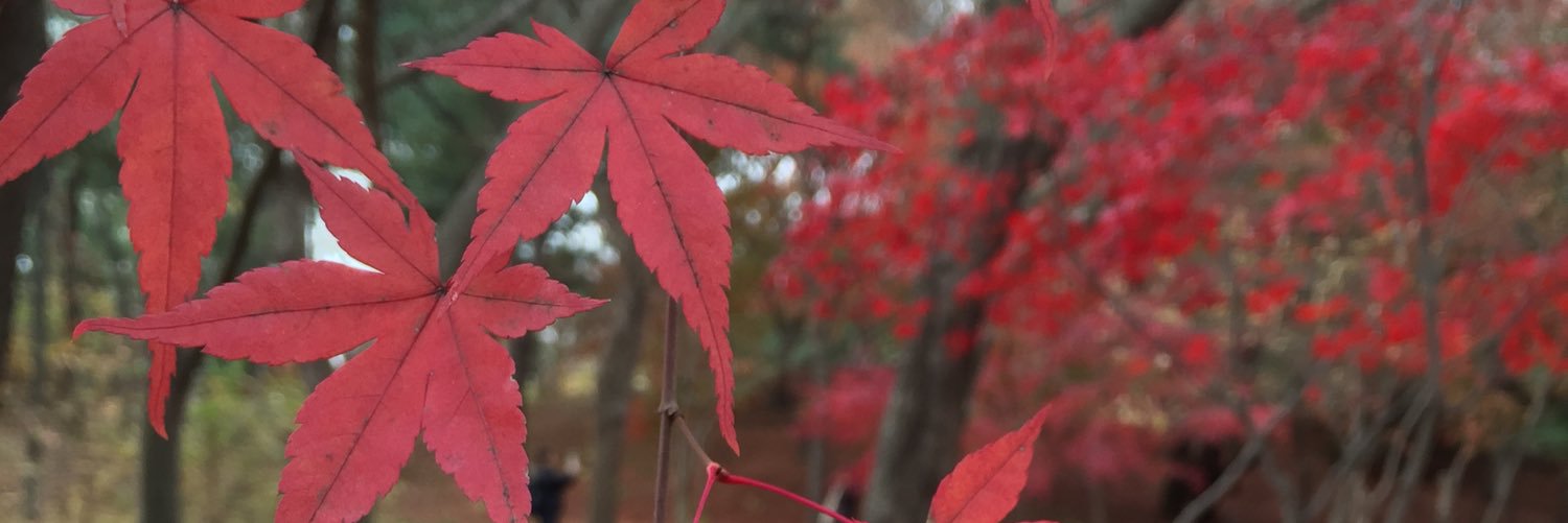 kwoncana's profile banner image