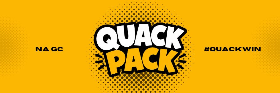 QuackPackVLR's profile banner image