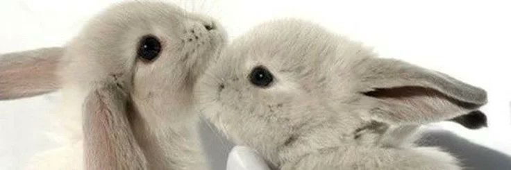 inf3cteed's profile banner image