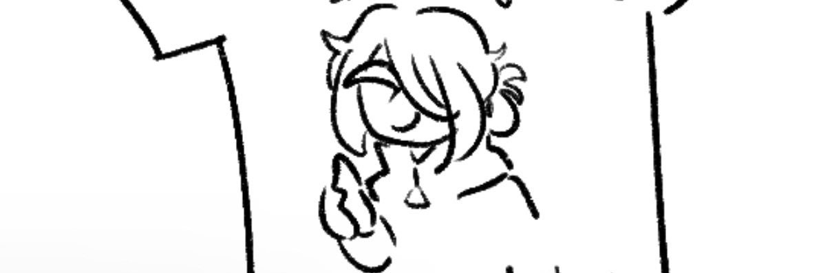 Volo BUT GAY banner