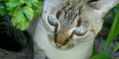 iHot_'s profile banner image