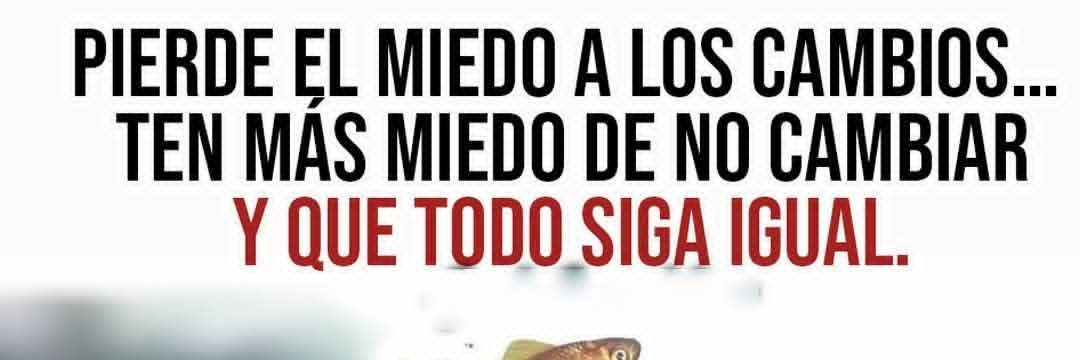 viniciosarango's profile banner image