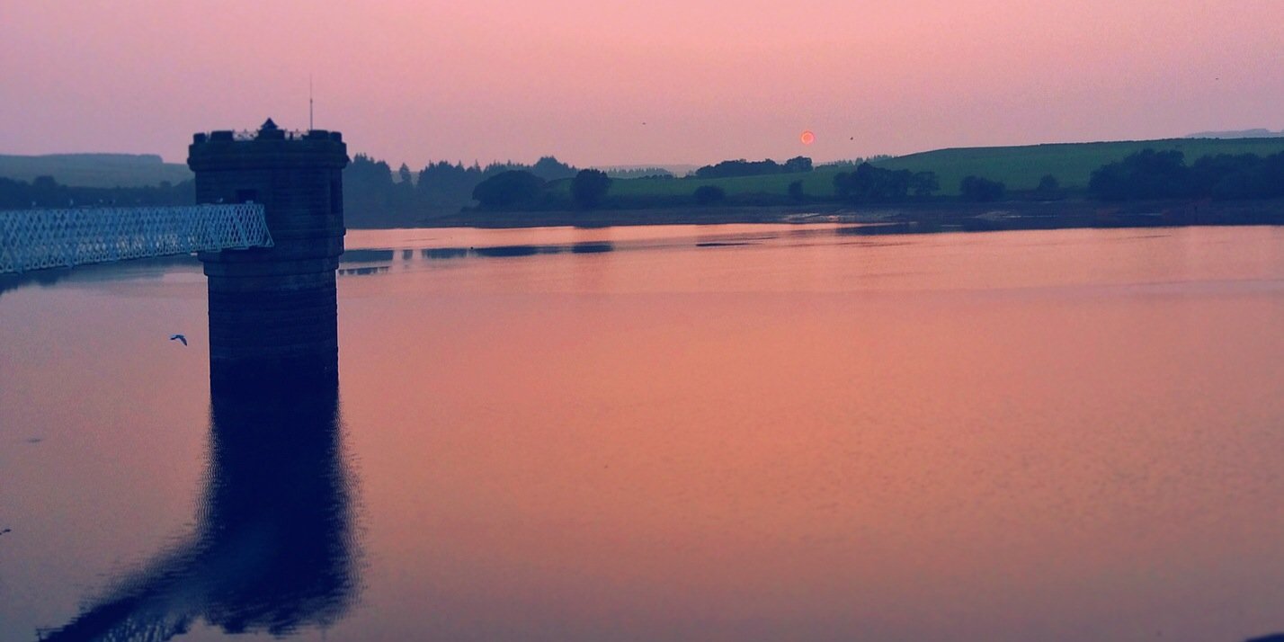 maiaduffield's profile banner image