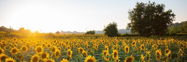 IamHula Profile Banner