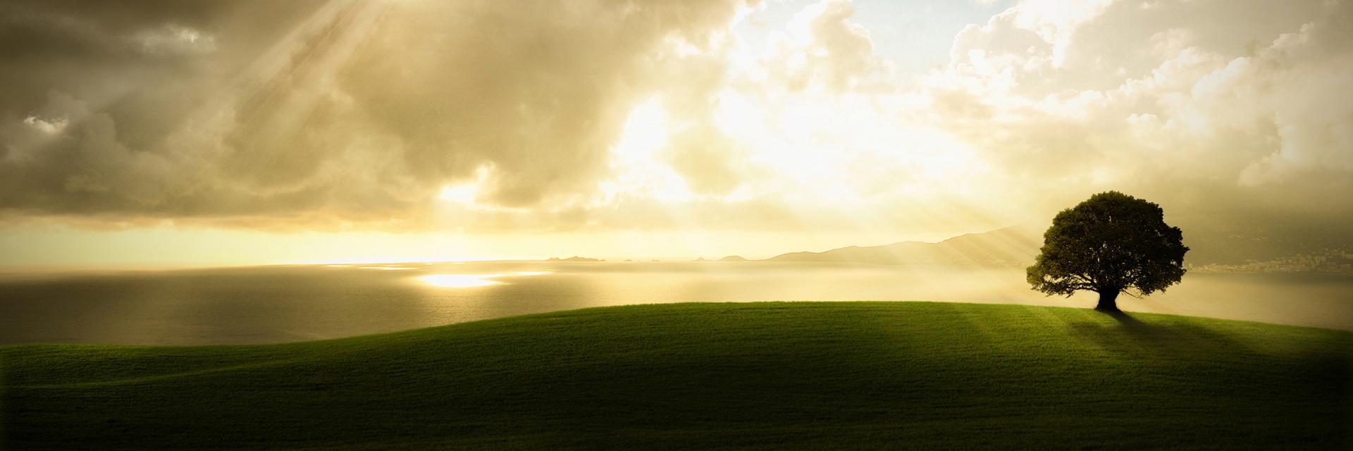 alan_hill's profile banner image