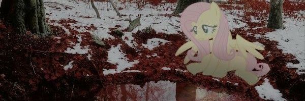 Moon banner
