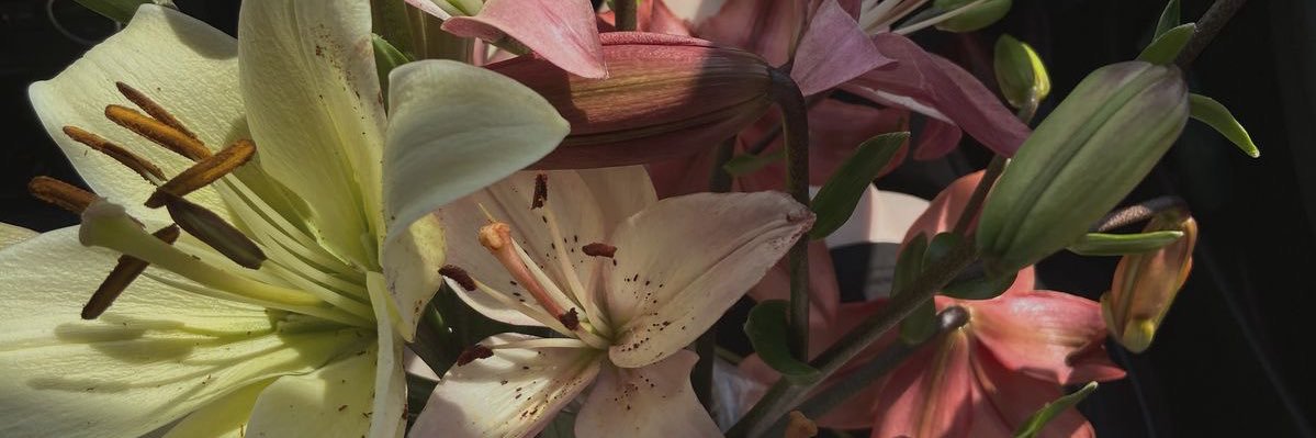 nai ⋆𐙚 #LOLOSPIL2UTBK🍀 banner