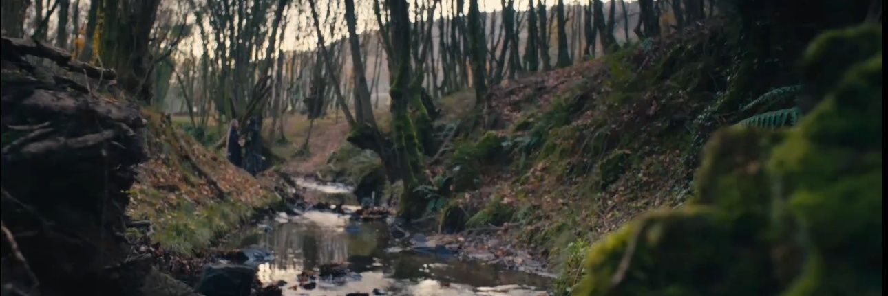 ⚔️🕊️🌹 banner