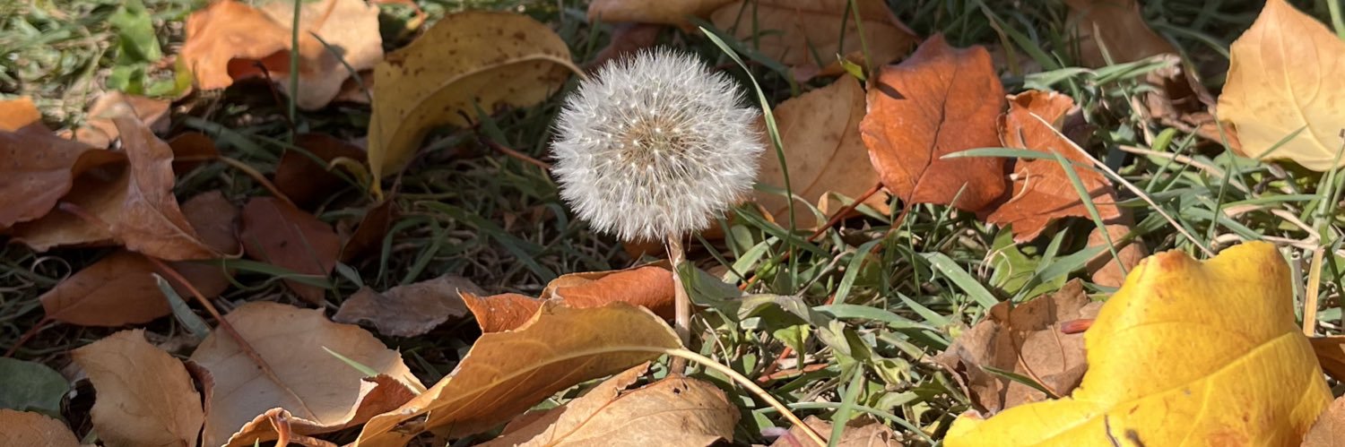FreckledFace🧡 banner