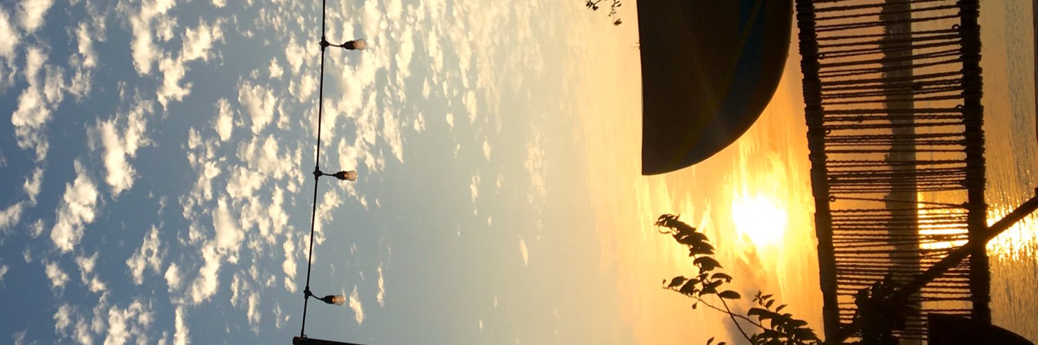 LuciVallone's profile banner image