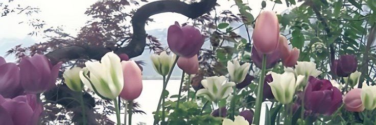 LoveableWONY's profile banner image