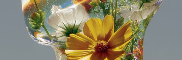 Maphonesheign Profile Banner