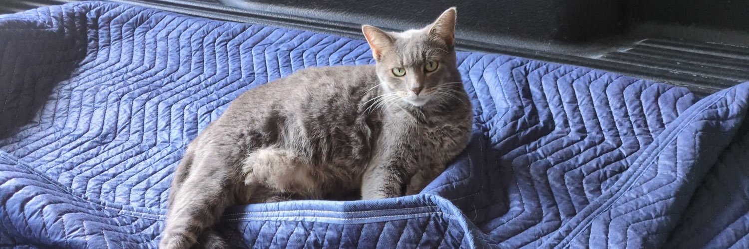 RealCatVictory banner