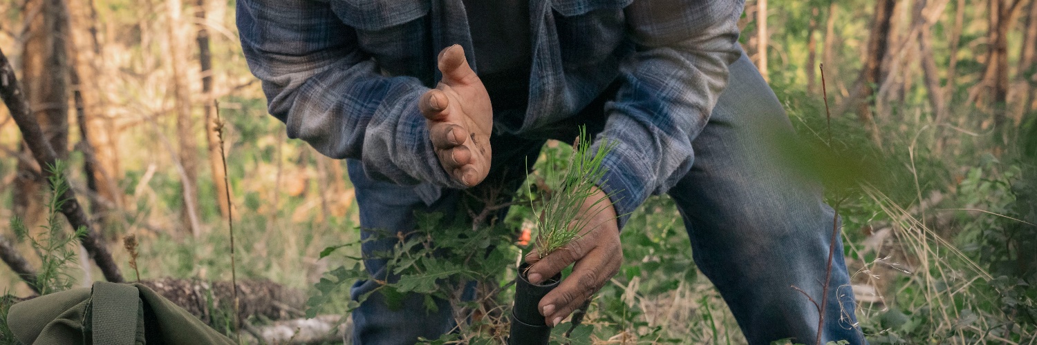 Trees, Water & People banner