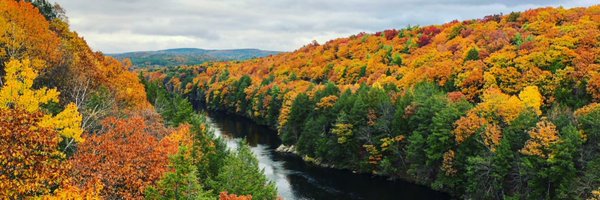 ErinReadsStuff Profile Banner