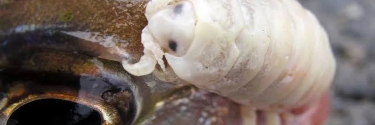 Lior Nymere 🔞 banner