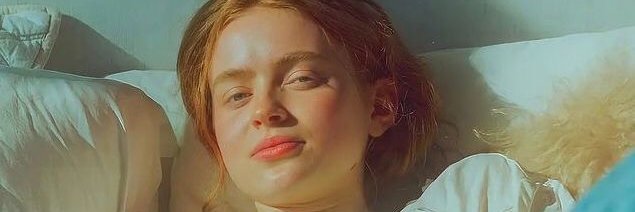 sophie banner