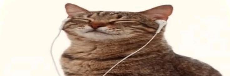 tdkbuuu's profile banner image
