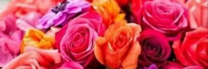ROSIPOSI's profile banner image
