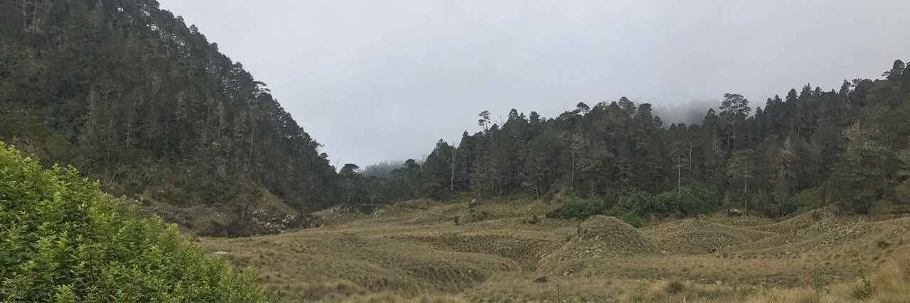 Miguel Ceara Hatton banner