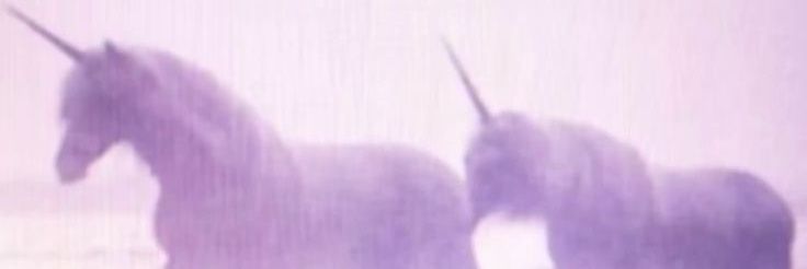 sage!!🦄shedtwt banner